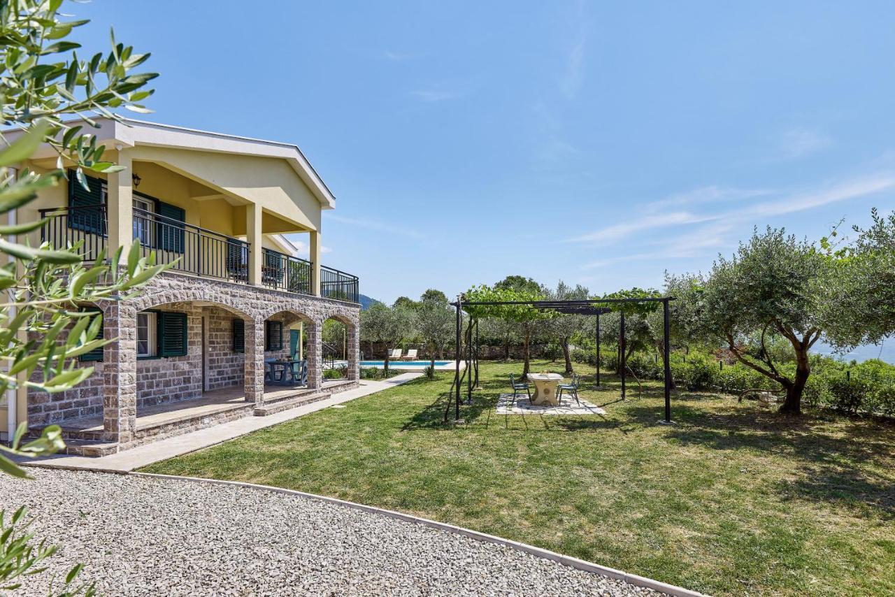 Villa Forest & Blue Kotor Exteriér fotografie