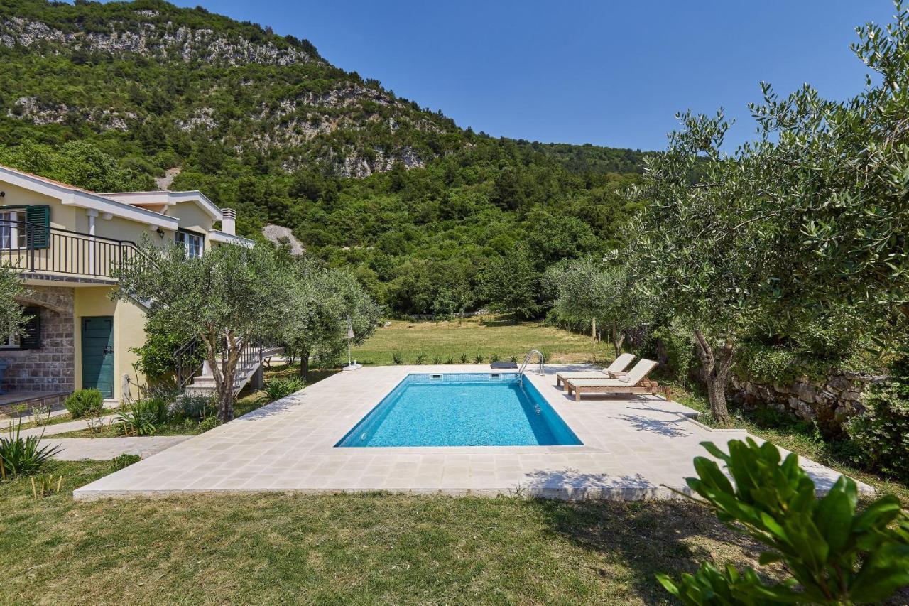 Villa Forest & Blue Kotor Exteriér fotografie