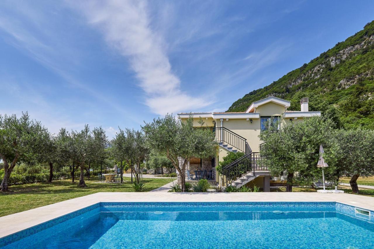 Villa Forest & Blue Kotor Exteriér fotografie